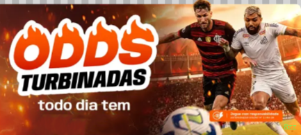 Formulário registro 8zz
